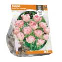 Baltus Tulipa Double Late Angelique tulpen bloembollen per 5 stuks